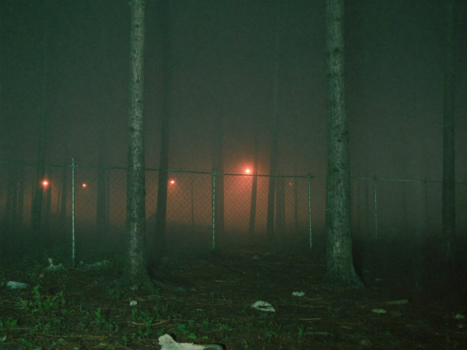 Illustration of Rendlesham Forest